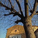 badia_fiesolana748_17