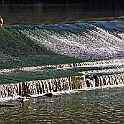 arno673_32