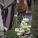 calcio_storico76_02