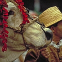 calcio_storico76_08