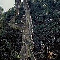 oti_oricellari858_23