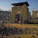 piazza_beccaria91_39