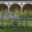 santa_croce064