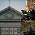 santa_maria_novella134_46