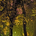 giardino_de_semplici156_9