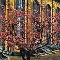 giardino_semplici103_45