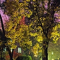 giardino_semplici156_07