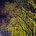 giardino_semplici156_22