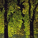 giardino_semplici156_35