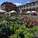 piazza_ss_annunziata024_1