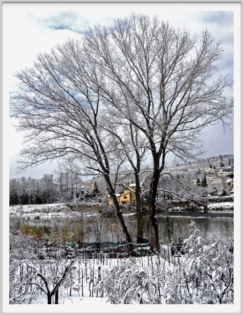 firenze_neve145