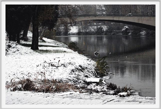 firenze_neve020