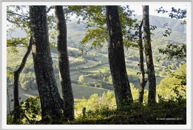giuncugnano067