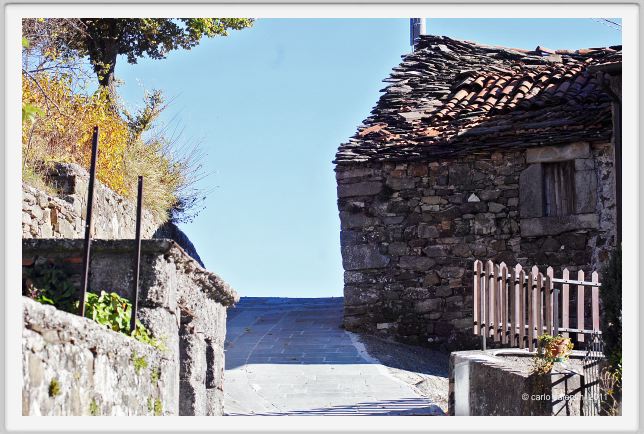 giuncugnano141