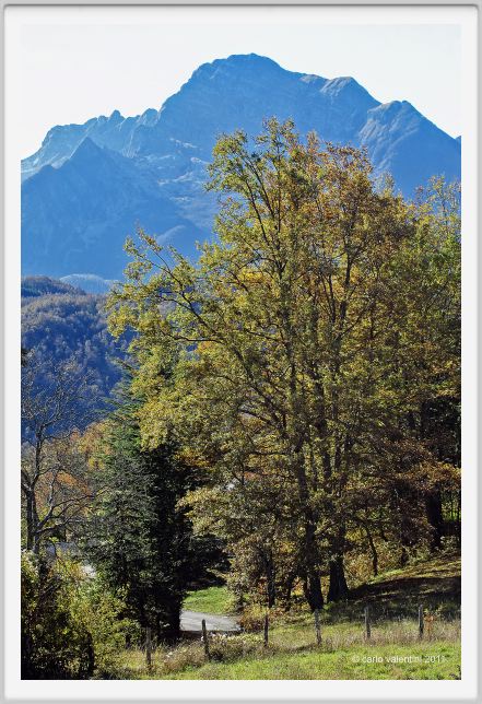 giuncugnano142
