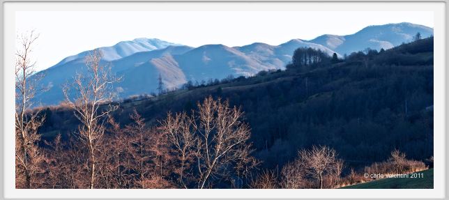 giuncugnano52