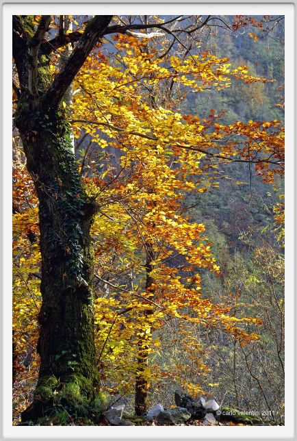 isola_santa_careggine011