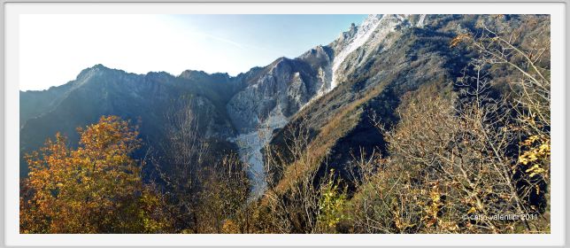 levigliani009