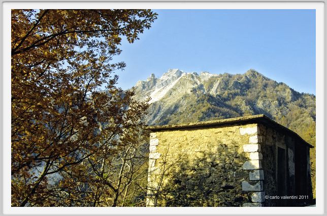 levigliani013