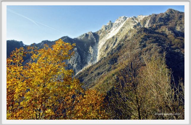 levigliani010