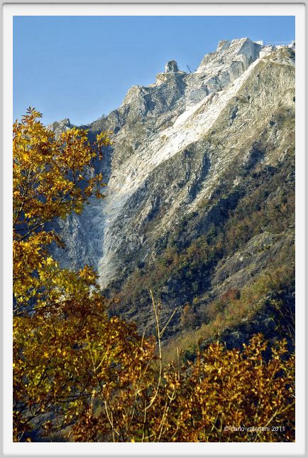 levigliani012