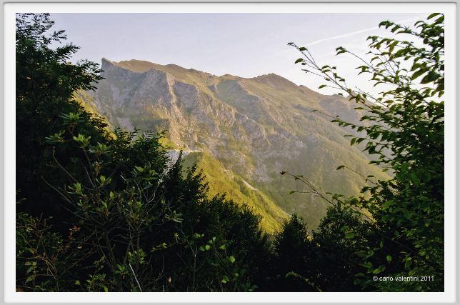 arni_monte_altissimo001
