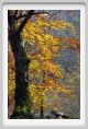 isola_santa_careggine011