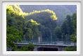 isola_santa_careggine003