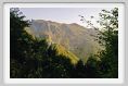 arni_monte_altissimo001