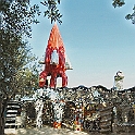 giardino_tarocchi241
