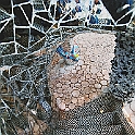 giardino_tarocchi270