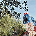giardino_tarocchi285
