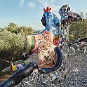 giardino_tarocchi287