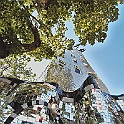giardino_tarocchi297