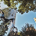 giardino_tarocchi299