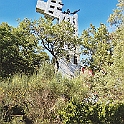 giardino_tarocchi311