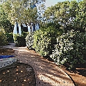 giardino_tarocchi327