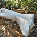 giardino_tarocchi334