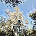 giardino_tarocchi363