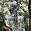 giardino_tarocchi371