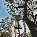 giardino_tarocchi385