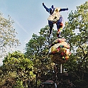 giardino_tarocchi413