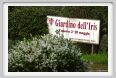 girdino_iris01