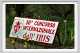 girdino_iris02