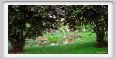 girdino_iris34