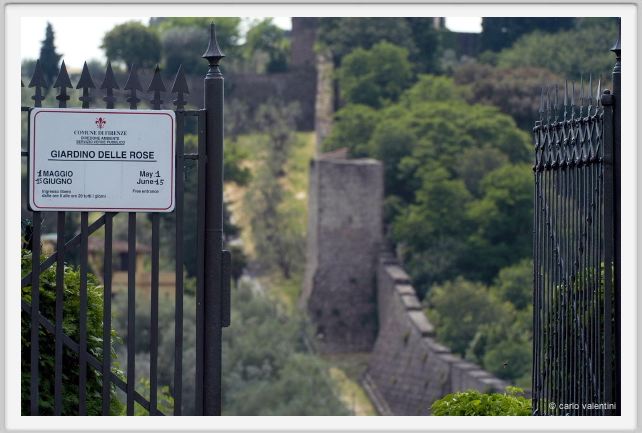 giardino_delle_rose04