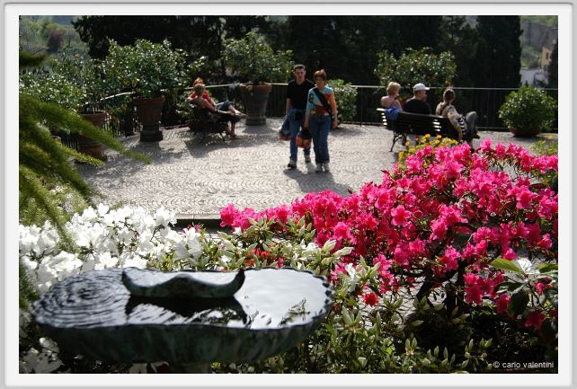 giardino_delle_rose1