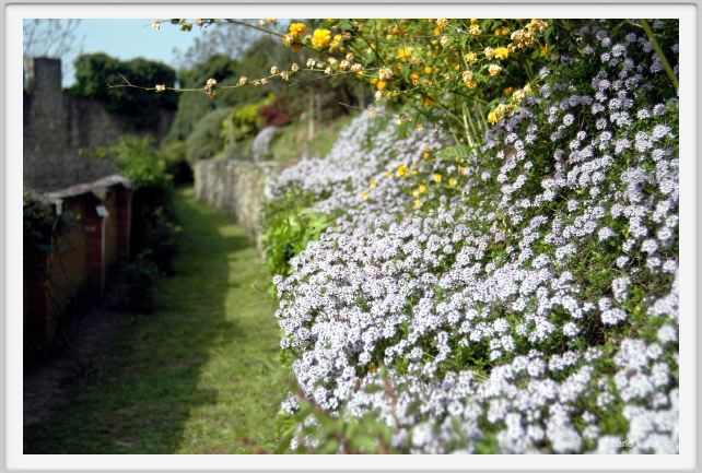 giardino_delle_rose3
