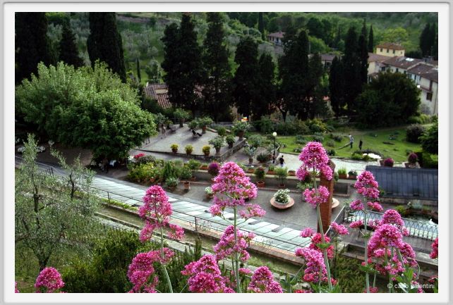 giardino_delle_rose4a