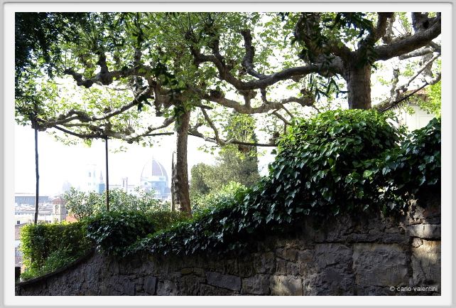 giardino_delle_rose5
